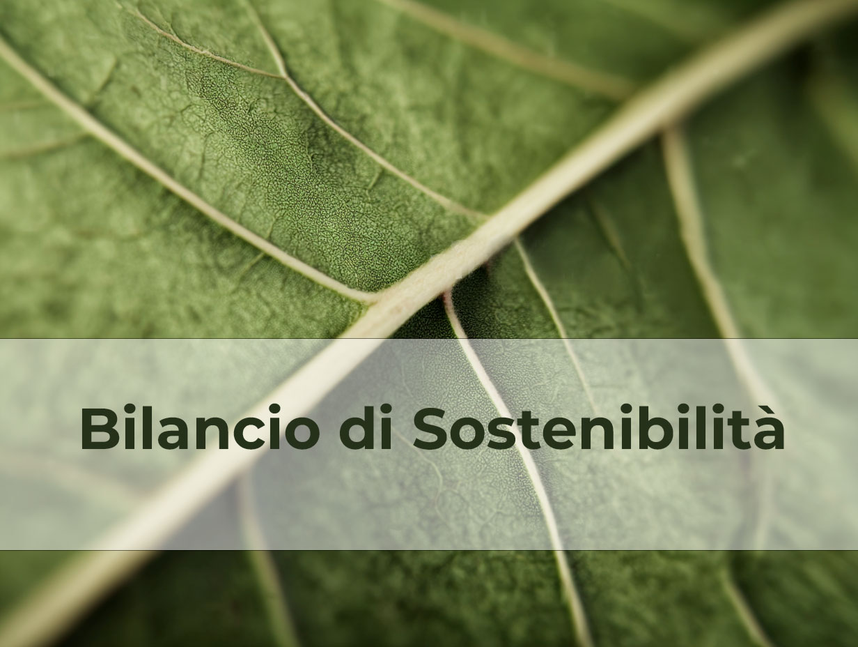 Bilancio di Sostenibilità: perché la tua azienda dovrebbe farlo (e come ti fa guadagnare)